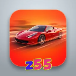 z55